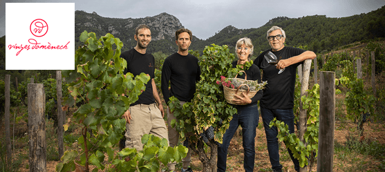 vallonne-vineyards