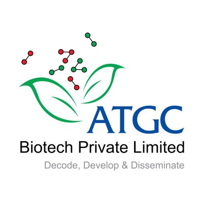 company_logo