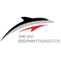 company_logo